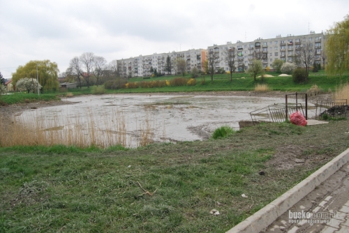 staw_niemiecki001.jpg