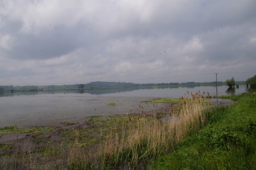 nowy_korczyn002.jpg