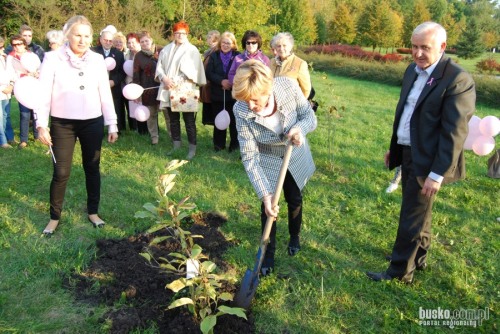marsz_rozowej_wstazeczki102.jpg