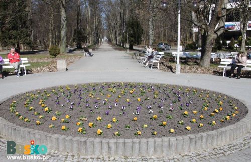 wiosenne_nasadzanie1.jpg