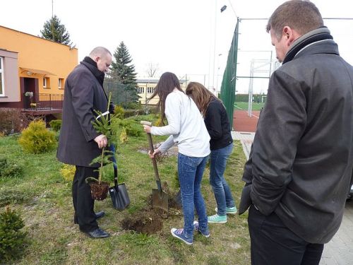 zielony_jedrzejow1.jpg