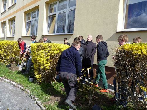 zielony_jedrzejow2.jpg