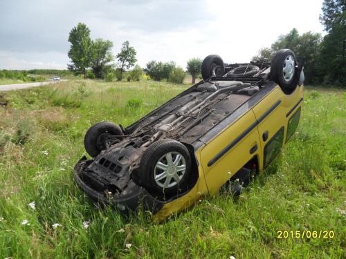 dachowanie_renault3.jpg
