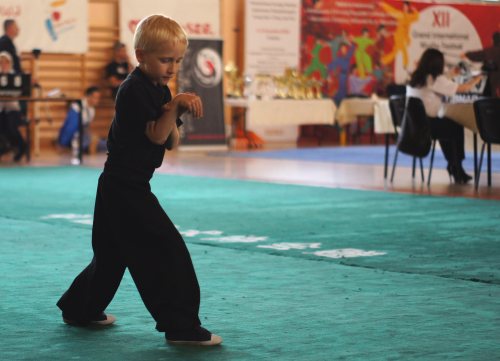 grand_wushu002.jpg