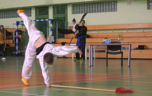 grand_wushu003.JPG