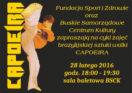 capoeira_luty001.jpg