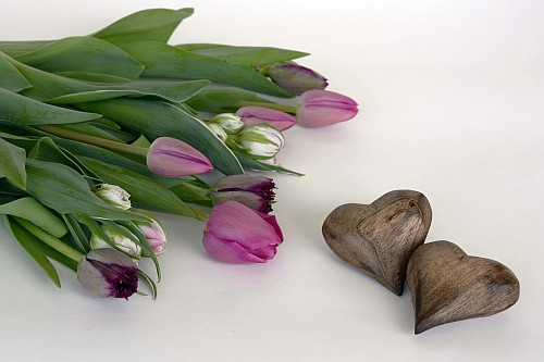 serce_tulipany001.jpg