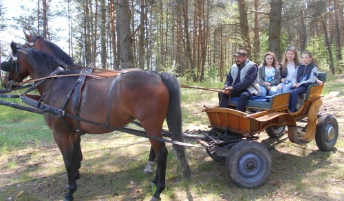 konkurs_sarna006.jpg