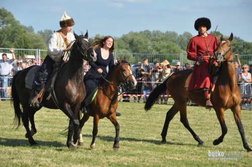 championat_koni_opatowiec001.jpg