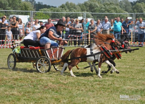 championat_koni_opatowiec005.jpg