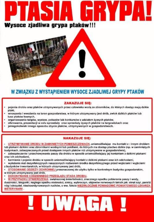 ptasia_grypa1.jpg