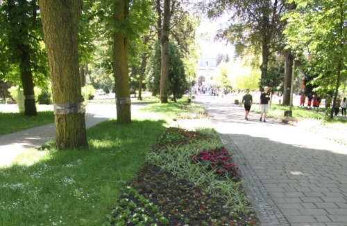nasadzanie2.JPG