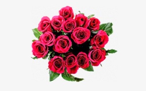 roze.jpg