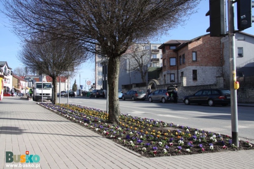 wiosna2.JPG