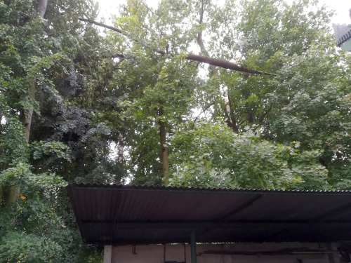 straz.jpg