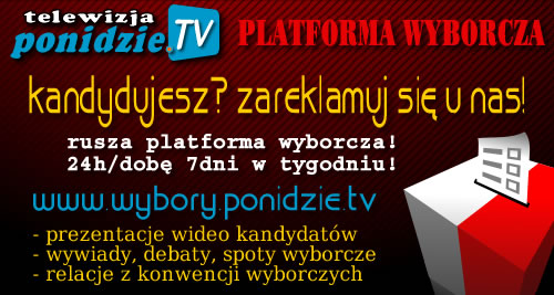 platforma_wyborcza01.jpg