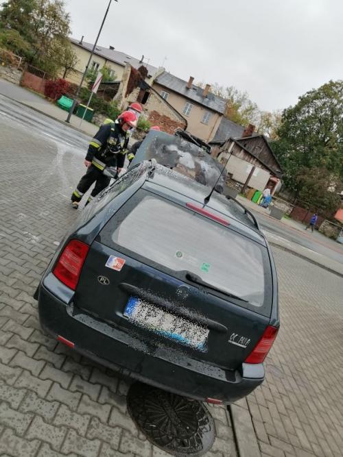 Zobacz 