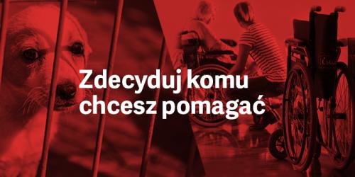 Zobacz 