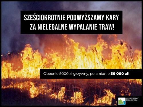 Zobacz 