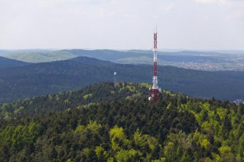 Zobacz 