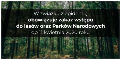 Zobacz 