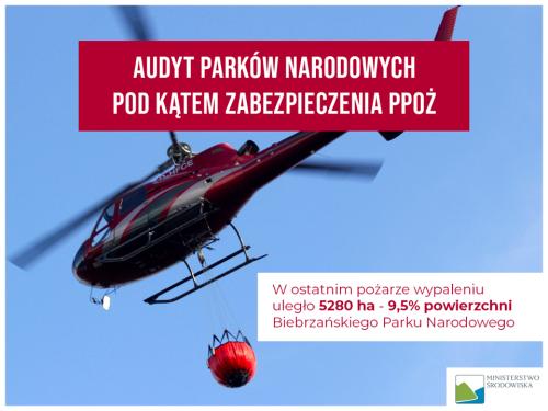 Zobacz 