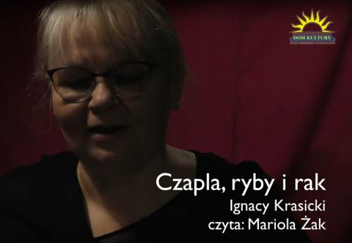 Zobacz 