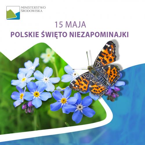 Zobacz 