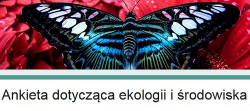 Zobacz 
