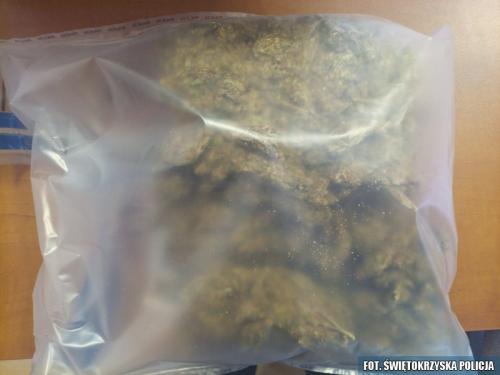 Zobacz 