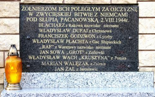 Zobacz 