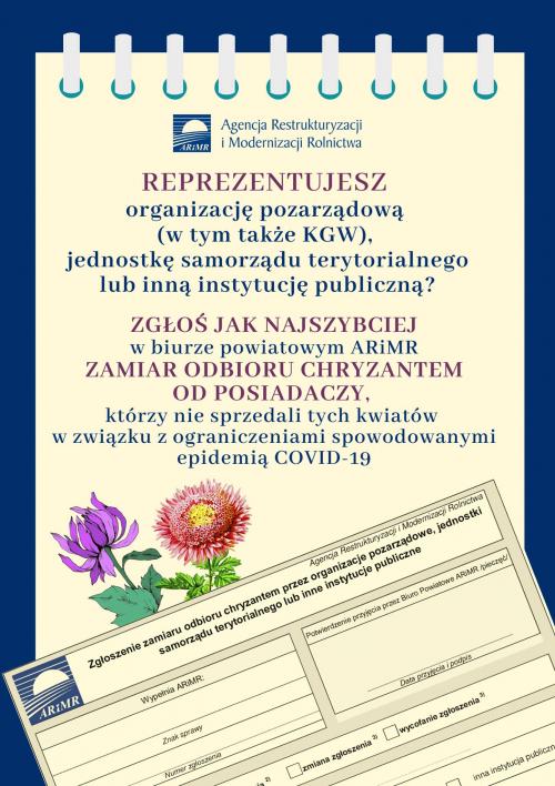 Zobacz 