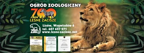 Zobacz 