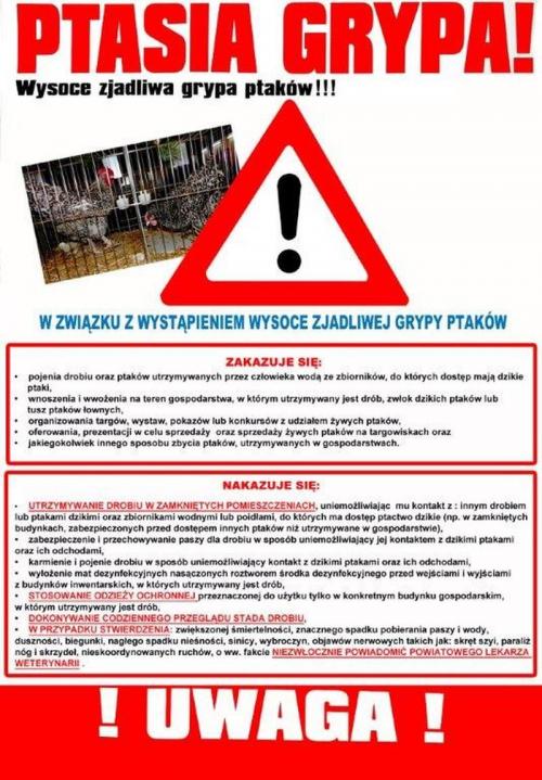 Zobacz 