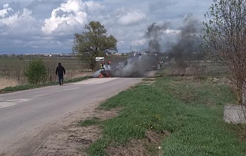 Zobacz 