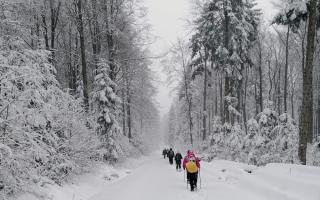 PTTK Oddział Busko-Zdrój zaprasza na Rajd Noworoczny, który odbędzie się w niedzielę, 11 stycznia 2026 roku. To doskonała okazja, aby aktywnie rozpocząć nowy rok, połączyć ruch na świeżym powietrzu z odkrywaniem lokalnej historii i tradycji.