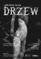 W sobotę, 7 lutego 2026 roku, o godzinie 17.00 w galerii Hol Buskiego Samorządowego Centrum Kultury odbędzie się wernisaż wystawy fotografii Lilianny Ligęzy-Jasik zatytułowanej 'Sekretne życie drzew'.

