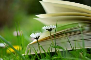 Miejsko-Gminna Biblioteka Publiczna w Busku-Zdroju zaprasza miłośników literatury do udziału w tegorocznej edycji Narodowego Czytania, która odbędzie się w sobotę, 6 września 2025 roku o godz. 11:00. 