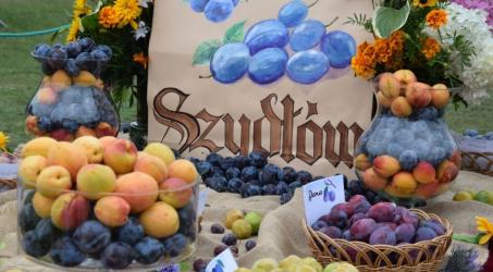 Szydłów przygotowuje się do 27. edycji Święta Śliwki - największej imprezy plenerowej w gminie i jednej z największych tego typu w województwie świętokrzyskim. Wydarzenie odbędzie się w dniach 9-10 sierpnia 2025 roku na dziedzińcu szydłowskiego zamku i tradycyjnie przyciągnie tłumy mieszkańców oraz turystów.