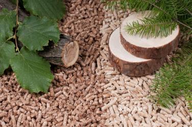 W ostatnich dniach media informowały o problemach z dostępnością pelletu drzewnego oraz o wzrostach jego cen. Nagłówki o braku pelletu na składach czy agresywnym wykupywaniu zapasów mogą budzić niepokój wśród użytkowników kotłów pelletowych.