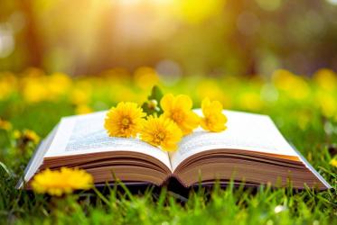 Miłośnicy książek, poezji i inspirujących opowieści będą mieli wyjątkową okazję, by spędzić kwietniowy weekend w towarzystwie literatury. Wiosna literacka - słowo ma znaczenie to cykl wydarzeń, który połączy Busko-Zdrój, Pacanów, Pińczów i Solec-Zdrój, oferując bogaty program spotkań autorskich, pokazów podróżniczych oraz kiermasz książek.