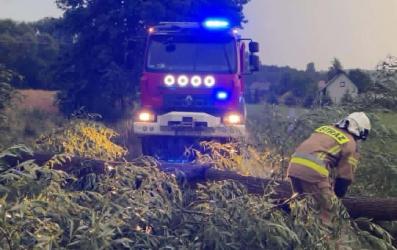 Intensywne opady deszczu i silny wiatr, które przeszły nad powiatem buskim w dniach 1 i 2 lipca, dały się we znaki mieszkańcom wielu miejscowości. Strażacy przez kilkanaście godzin usuwali skutki gwałtownych zjawisk atmosferycznych, interweniując przy powalonych drzewach, zalanych posesjach i zablokowanych drogach. Najwięcej zgłoszeń napłynęło z terenu gminy Nowy Korczyn.