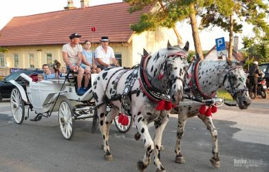 Wspólne świętowanie, liczne atrakcje dla całych rodzin i integracja lokalnej społeczności - tak wyglądały obchody jubileuszu 900-lecia parafii w Szczaworyżu. W sobotę mieszkańcy oraz goście licznie uczestniczyli zarówno w uroczystościach odpustowych ku czci św. Jakuba Apostoła, jak i w festynie rodzinnym, który przygotowano z okazji wyjątkowego jubileuszu parafii.