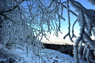 Świętokrzyski Park Narodowy zostanie poszerzony o ponad 340 hektarów, a działki na szczycie Łyśca, wyłączone w 2022 roku, ponownie znajdą się w jego granicach. Zmiany mają wzmocnić ochronę przyrody i zakończyć wieloletni spór polityczny. Skupiamy się na interesie społecznym i ochronie przyrody - powiedział wiceminister klimatu Mikołaj Dorożała.