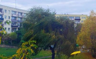 Instytut Meteorologii i Gospodarki Wodnej wydał w czwartek dla całego obszaru województwa świętokrzyskiego ostrzeżenie pierwszego stopnia przed oblodzeniami i silnym wiatrem, którego prędkość w porywach może dochodzić do 70 km/h.