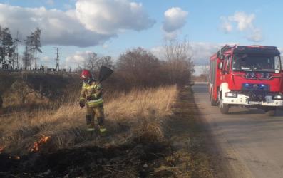 W Komendzie Wojewódzkiej Państwowej Straży Pożarnej w Kielcach, odbyła się konferencja prasowa inaugurująca kampanię edukacyjno-informacyjną STOP Pożarom Traw na Ziemi Świętokrzyskiej. Wydarzenie to jest odpowiedzią na coroczne wyzwania związane z intensywnym wypalaniem traw.