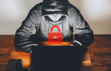 Na terenie województwa świętokrzyskiego w ostatnich miesiącach odnotowano wzrost liczby oszustw dokonywanych tzw. metodą na wnuczka. Od początku roku doszło już do 212 takich przestępstw, z czego 50 zakończyło się niepowodzeniem dzięki czujności potencjalnych ofiar. W pozostałych 162 przypadkach pokrzywdzeni stracili łącznie ponad 3,5 miliona złotych.