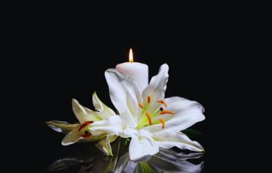 Towarzystwo Miłośników Buska z głębokim smutkiem żegna śp. Tadeusza Krzemińskiego - przedsiębiorcę, darczyńcę i sponsora, człowieka życzliwego ludziom, niezwykle uczynnego i zawsze gotowego do niesienia pomocy.