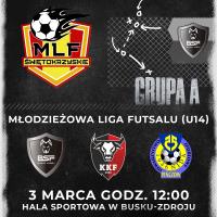 
W niedzielę, 3 marca od godziny 12:00 na Hali przy ulicy Kusocińskiego rozpocznie się 
Młodzieżowa Liga Futsalu. <br />
