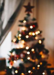 W piątek, 5 grudnia, przed Pińczowskim Samorządowym Centrum Kultury odbędzie się uroczyste rozświetlenie miejskiej choinki. Wydarzenie rozpocznie się o godzinie 15:30 i będzie oficjalnym rozpoczęciem przedświątecznego czasu w mieście.